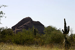 Sonoran Desert