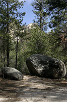 Mount Lemmon