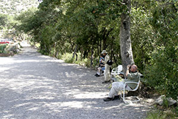 Hummingbird watchers