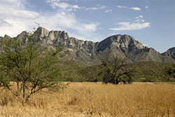 Santa Catalina Mountains