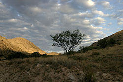 Sunrise on Mount Lemmon