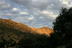 Sunrise on Mount Lemmon