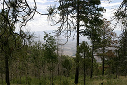 Tucson from Mount Lemmon