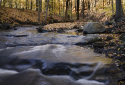 Blue Hen Falls