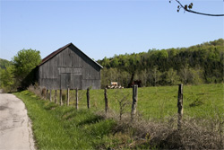 Another country barn