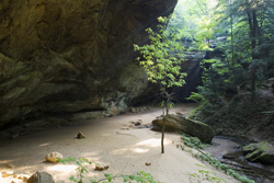 ash cave