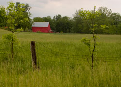 red barn