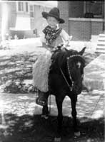 lg_pony.jpg (40421 bytes)