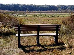 bench1.JPG (462111 bytes)