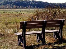 bench2.JPG (470986 bytes)